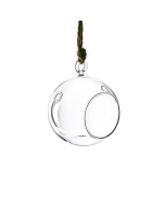 Glass Plant Terrarium Tealight Candle Holder 3.5" Clear
