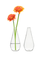 clear glass mini bud vases 