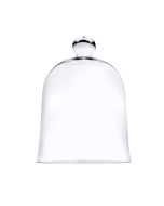 Glass Dome Cloche Bell Jar Terrarium Cover 16" x 12" Clear
