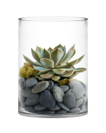 glass cylinder vases 8 inches