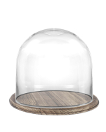 6 inches glass dome clear with brown rustic base