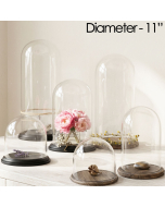 glass dome cloches