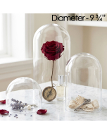 glass domes