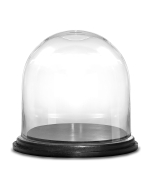 Decorative Plant Terrariums Dome Bell Cloche with Wood Base