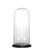 Decorative Glass Dome Cloche Plant Terrarium Bell Jars with Wood Base 15" x 7"