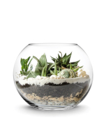 glass bubble bowl wholesale