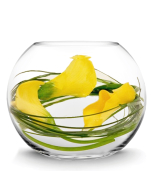 glass bubble bowls