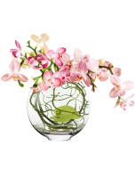 glass moon shape bowl