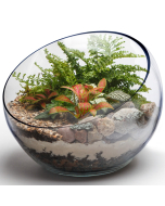 glass terrarium tilted slant cut bowl