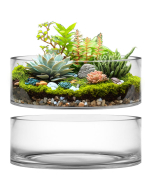 glass cylinder vases 14 inches wide with 4 inches heights
