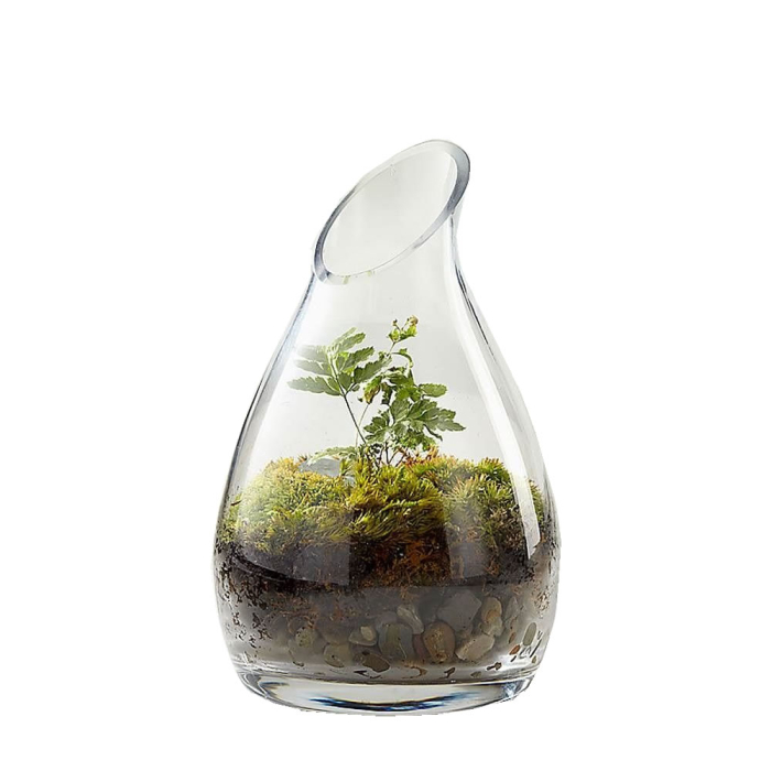 Glass Curvy Carafe Vase with Slant Cut Opening H-7.25" x D-2.75" Clear (Wholesale Pack of 12)