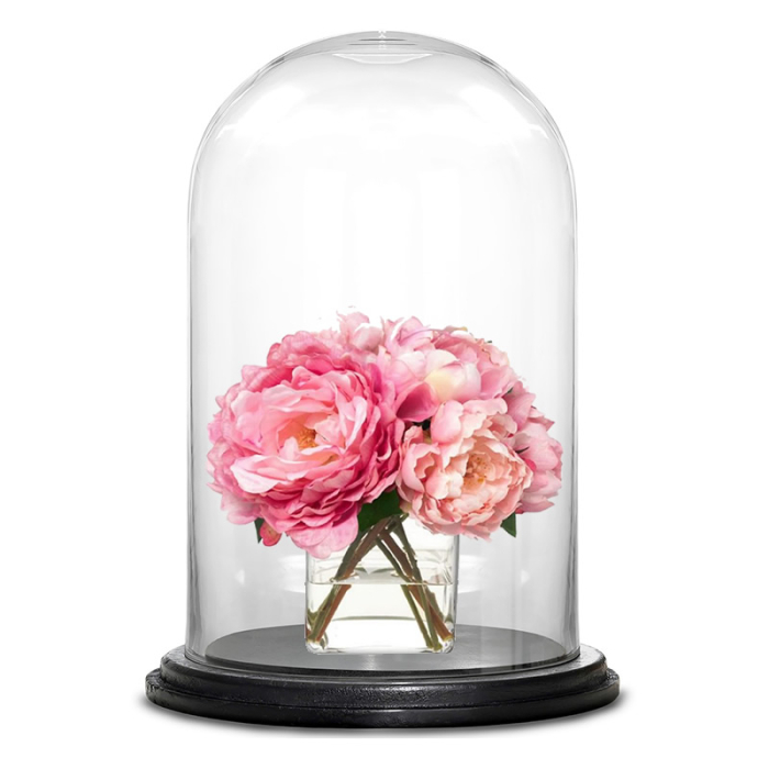 16" Decorative Glass Dome Cloche Plant Terrarium Bell Jars with Wood Base