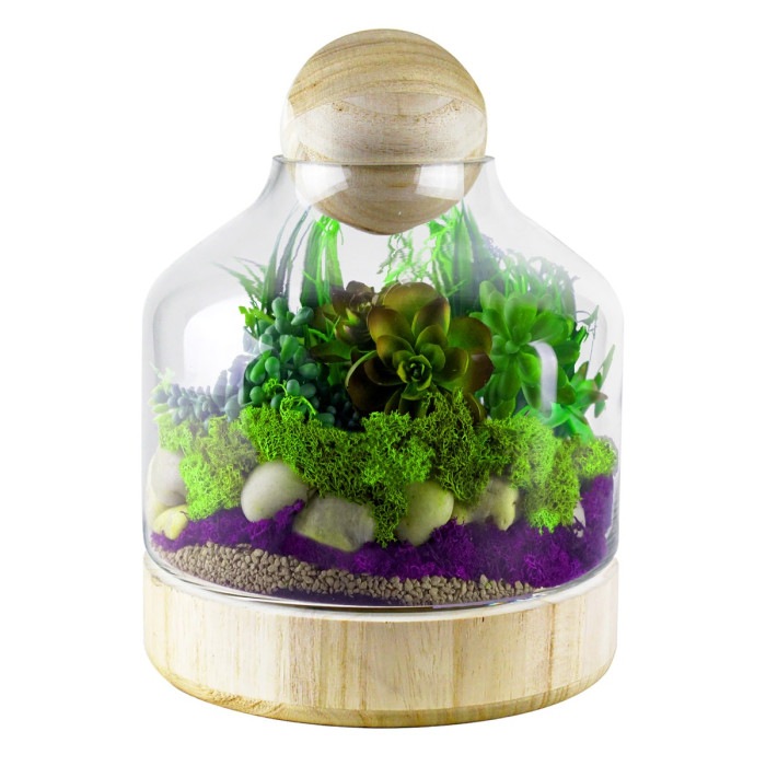 Danish Glass Terrarium Dome Cloche with Ball Stopper and Wood Base H-10" x D-3" Clear (Wholesale Pack of 6)