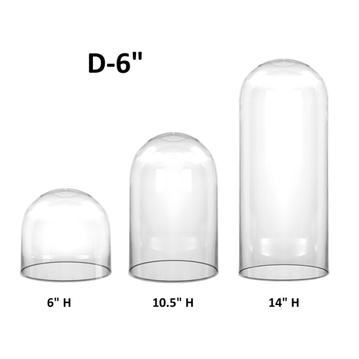 Glass Cloche Display Dome, D-6", Multiple Height