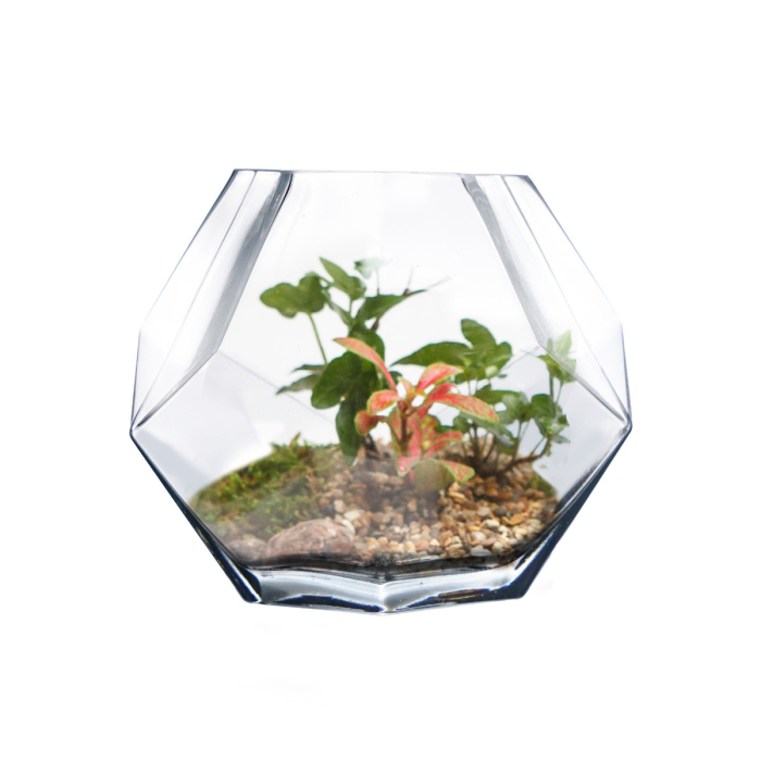 Geometric Faceted Gem Glass Terrarium Vases Bowl H-6" x W-6" Clear