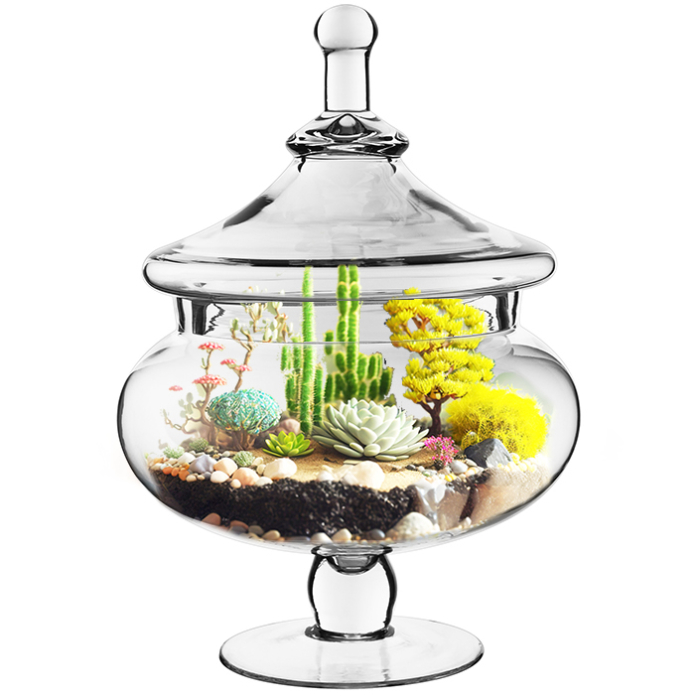 glass candy buffet apothecary jars