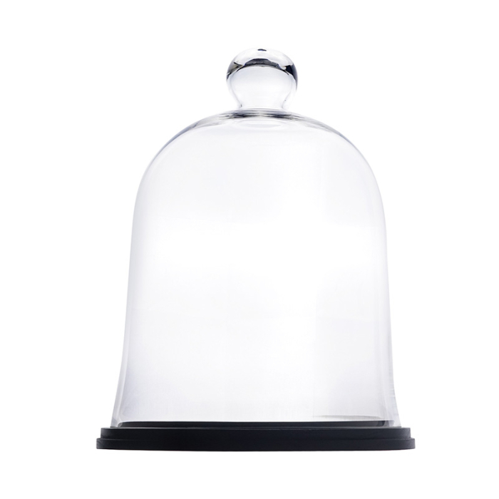 Glass Dome Cloche Terrarium With Black Wood Base 17" x 13" Clear