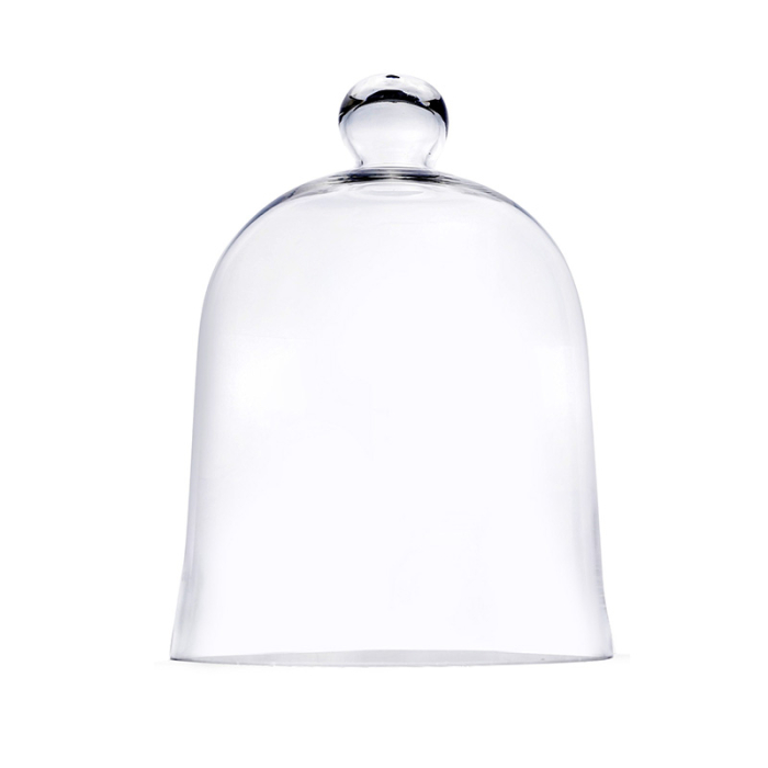 Glass Dome Cloche Bell Jar Terrarium Cover 16" x 12" Clear