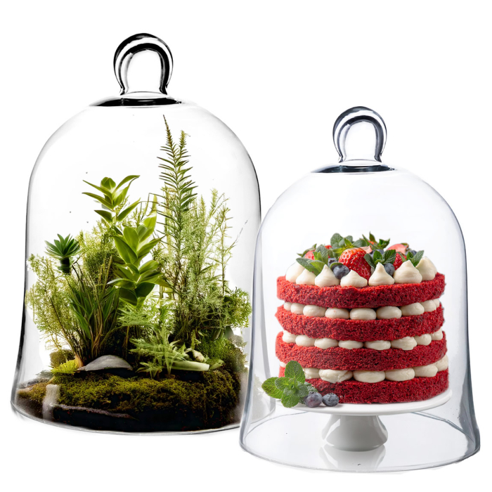 glass cloches domes plant cover