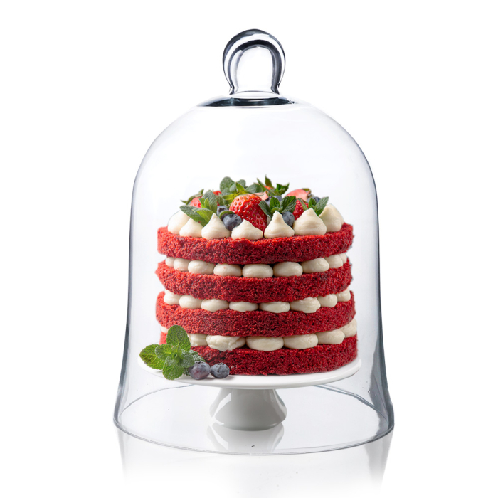 Glass Dome Cloche Bell Jar Terrarium Cover 12" x 8.5" Clear (Pack of 4)