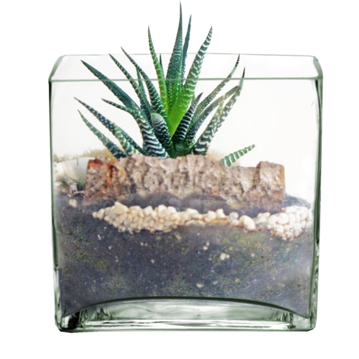 Glass Square Cube Vase 8" x 8" Clear