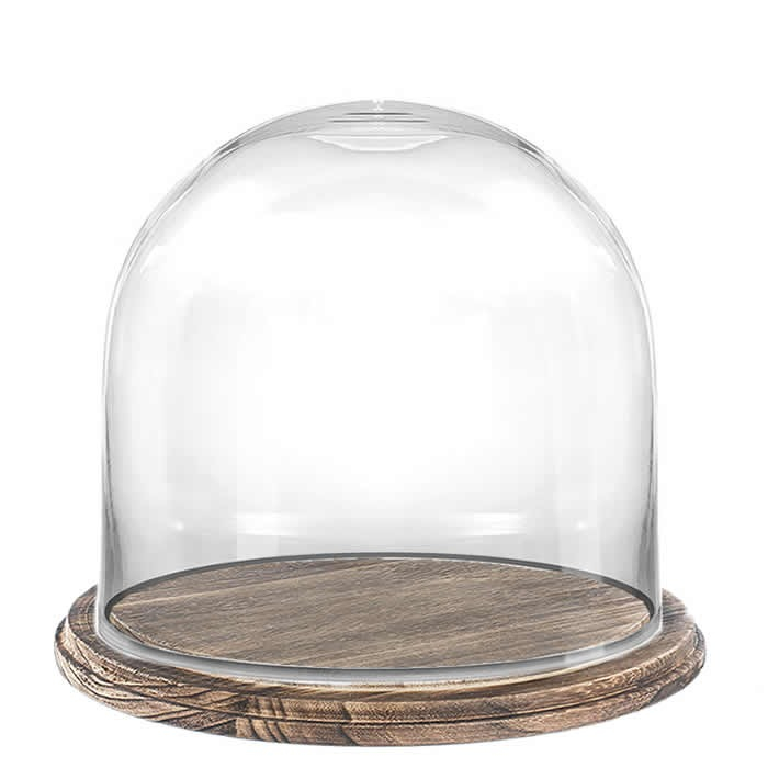 11 inches glass dome with wooden brown base