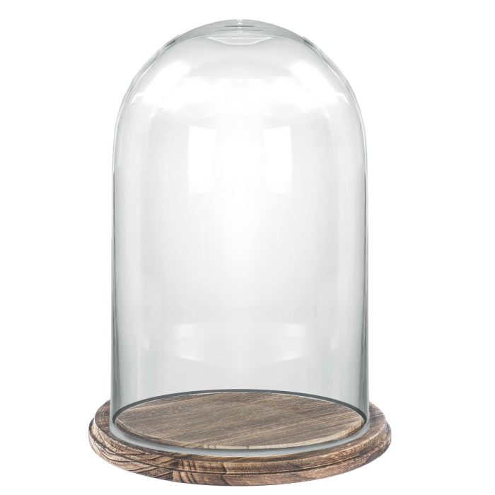 16 inches glass dome with wood brown base