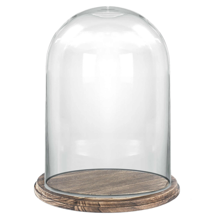 Glass dome with brown wooden base