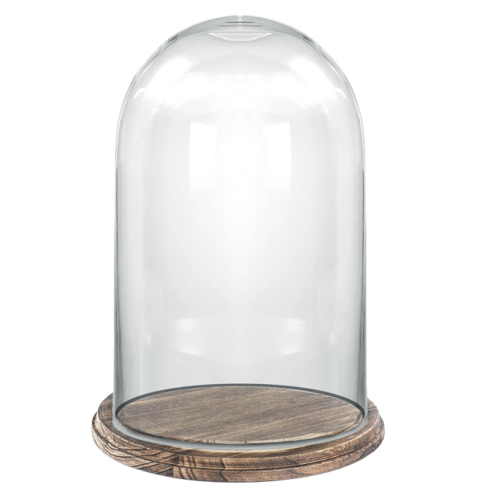 20 inches glass dome cloches with wooden brown base