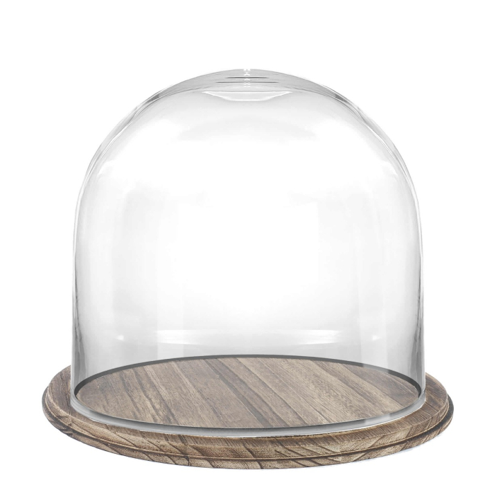 6 inches glass dome clear with brown rustic base