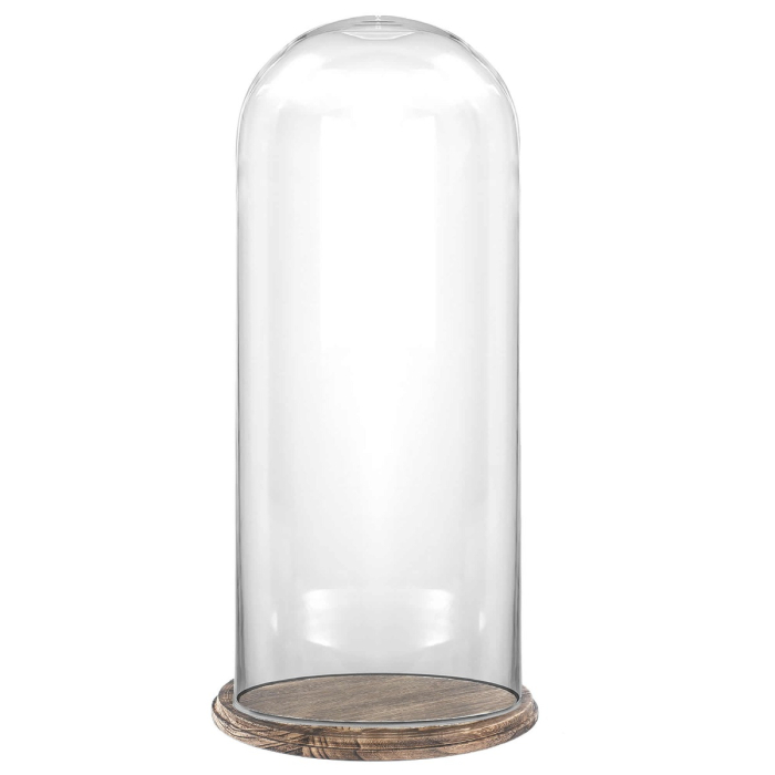 15 inches brown rustic base glass dome cloches