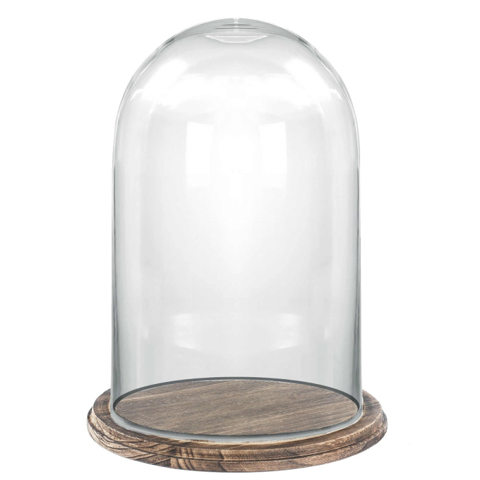 glass dome cloches with brown rustic base