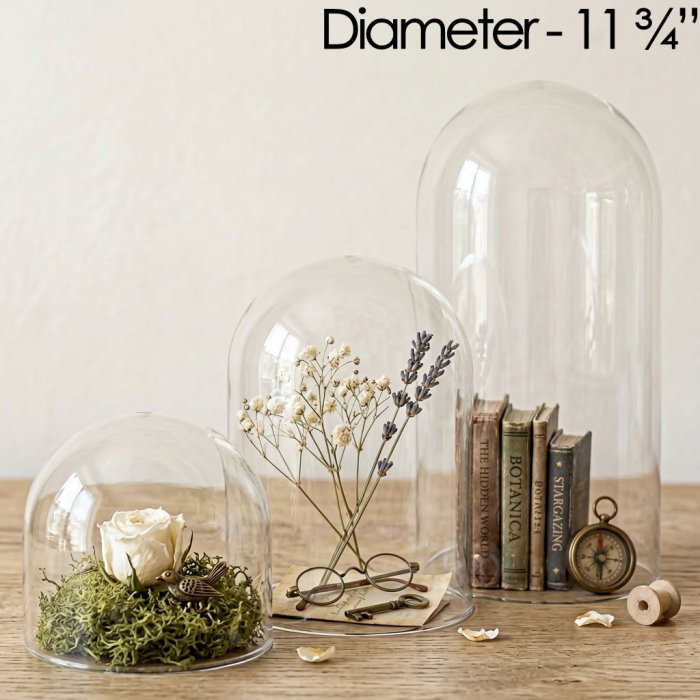 glass dome cloches