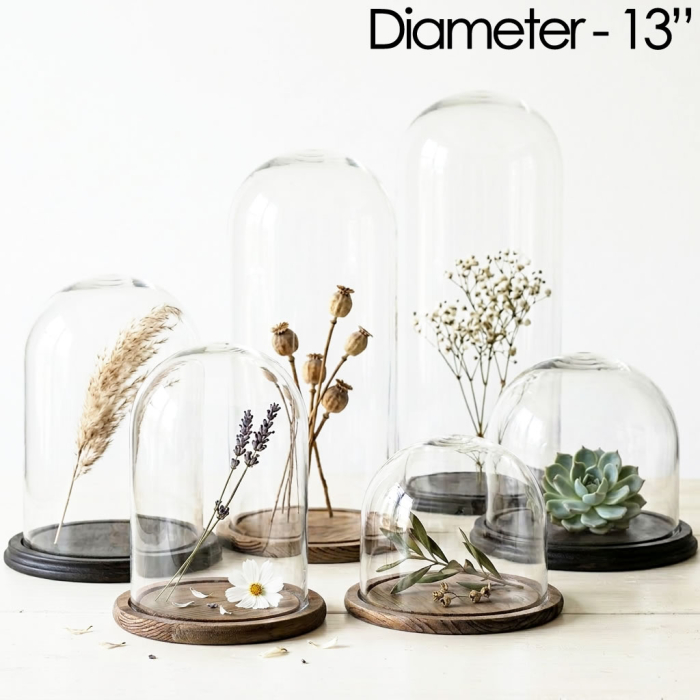 glass dome cloches