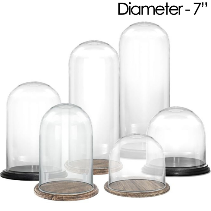 glass dome cloches 6 inches black brown base
