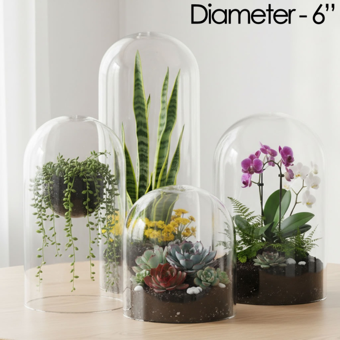 glass dome cloches