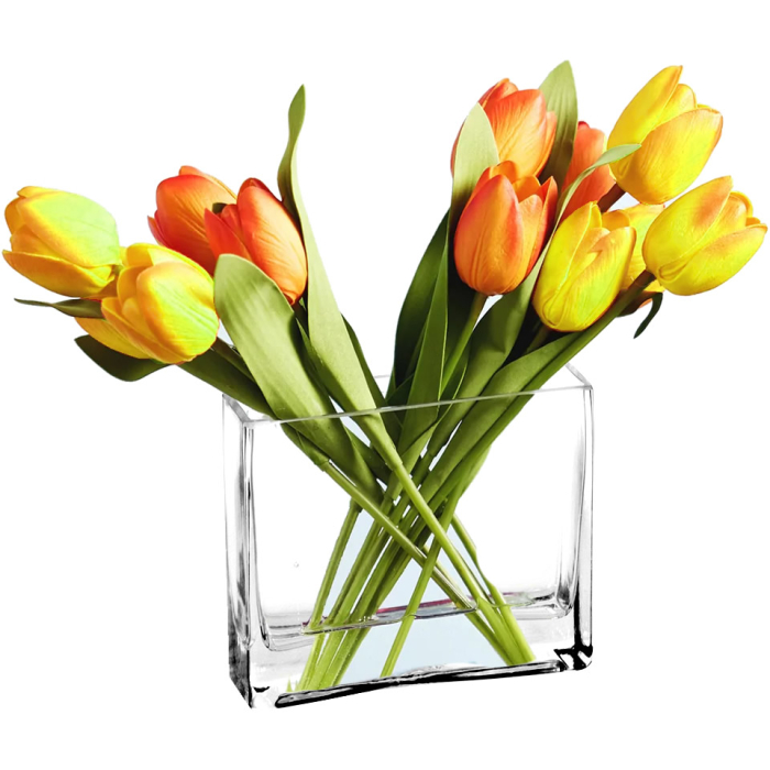 Glass Rectangular Vase Centerpiece Decorative Planter 8" x 8" x 2.4" Clear