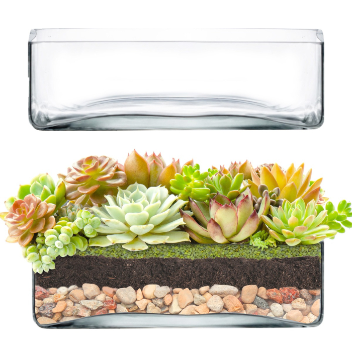 Square Glass Vase Tray 10"x10" x 3.25"