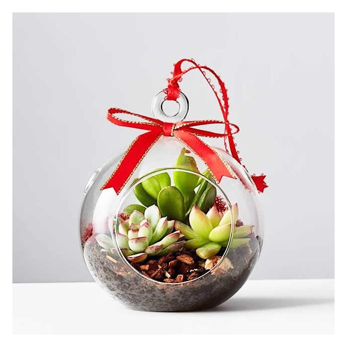 glass terrarium orbs