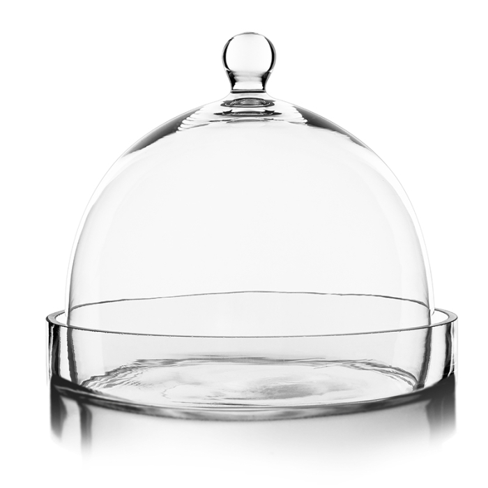 Glass Dome Cloche Plant Terrarium Bell with Glass Tray 8.5" x 8.5" Clear 