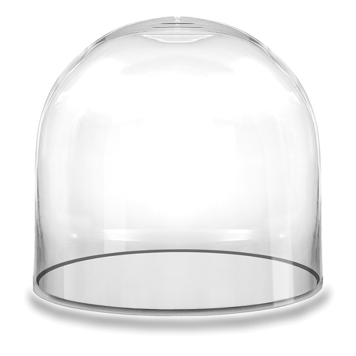 Glass Dome Cloche Decorative Plant Terrarium Bell Jars 10" (Wholesale Pack of 4)