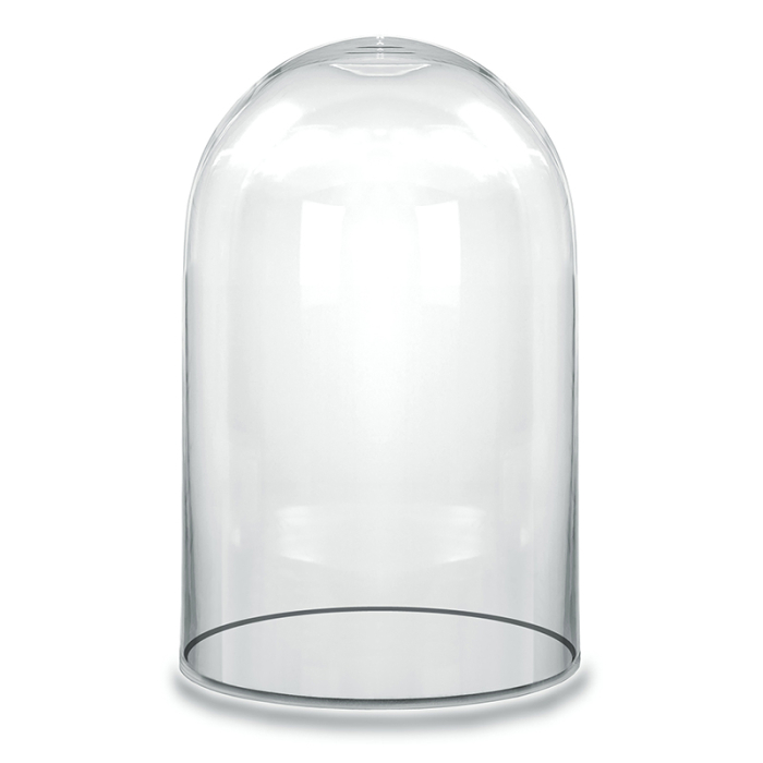 Glass Dome Cloche Decorative Plant Terrarium Bell Jars H-19.5" x D-11.75" Clear