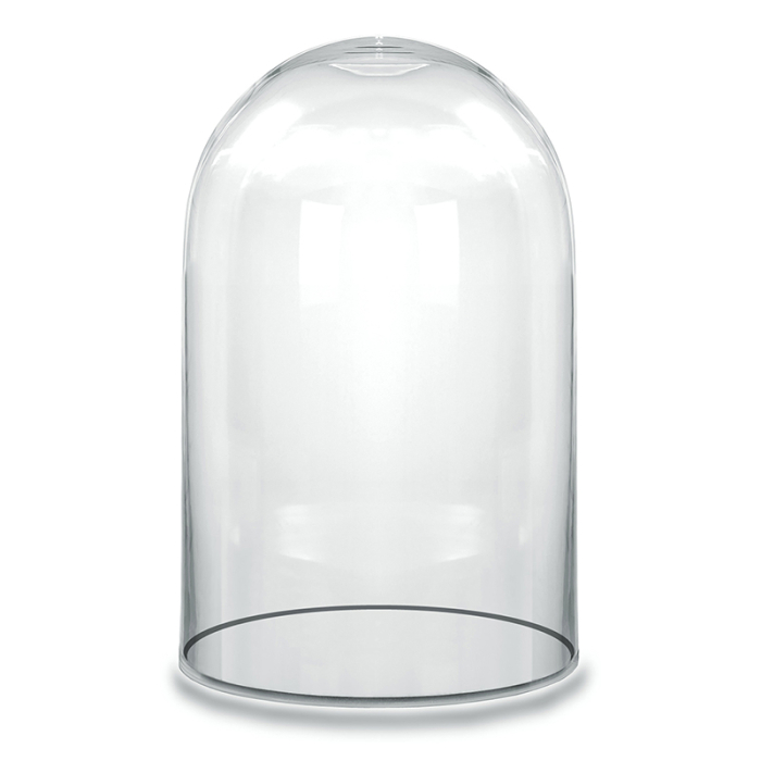 Glass Dome Cloche Decorative Plant Terrarium Bell Jars H-10.5" x W-6" Clear 