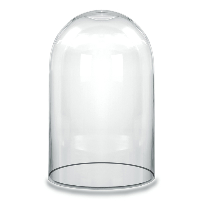 Glass Dome Cloche Decorative Plant Terrarium Bell Jars