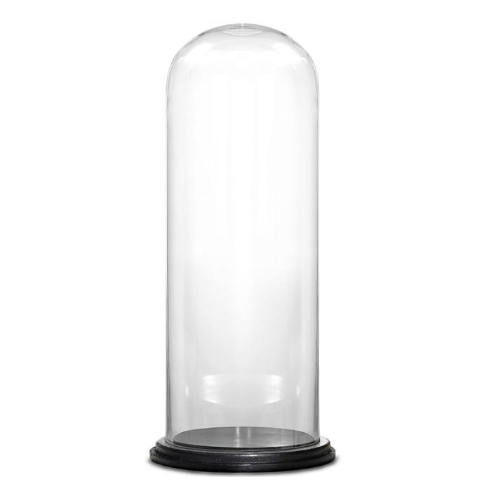Decorative Glass Dome Cloche Plant Terrarium Bell Jars with Wood Base 25" x 11" Clear