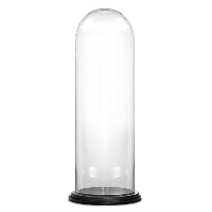 Decorative Glass Dome Cloche Plant Terrarium Bell Jars with Wood Base 29" x 11"