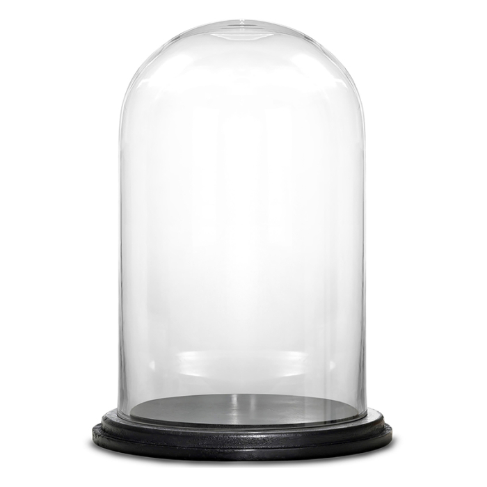 Glass Dome Cloche Decorative Plant Terrarium Bell Jars with Wood Base H-20" x W-12" Clear