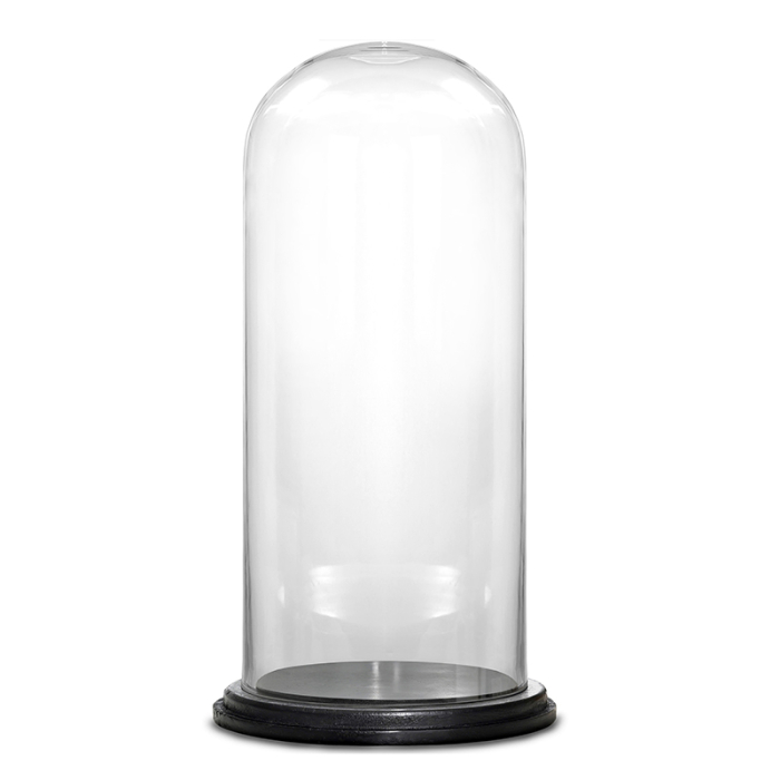 glass cloches domes