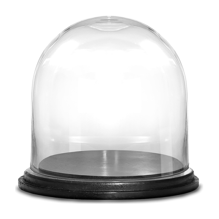 Decorative Plant Terrariums Dome Bell Cloche with Wooden Base