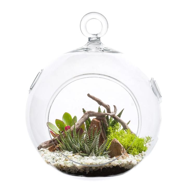 Glass Plant Terrarium Tealight Candle Holder 9" Clear